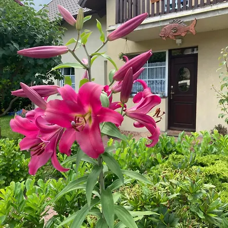 Privatunterkunft Nasz Bosman