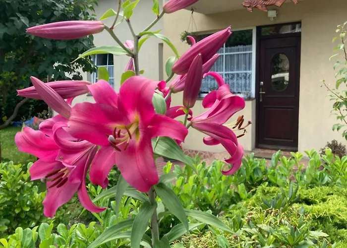 Privatunterkunft Nasz Bosman