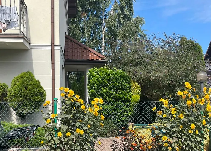 Nasz Bosman * Jastarnia